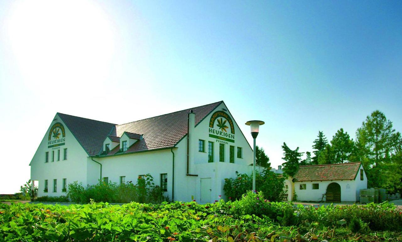 Hanfthal-Hof Laa an der Thaya Ngoại thất bức ảnh